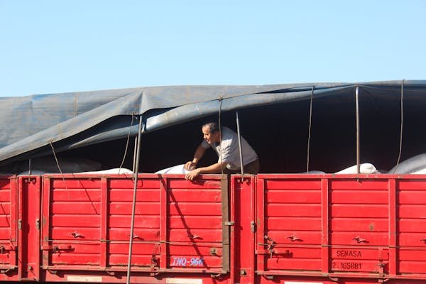 Top choix de bâches personnalisées et résistantes pour remorque